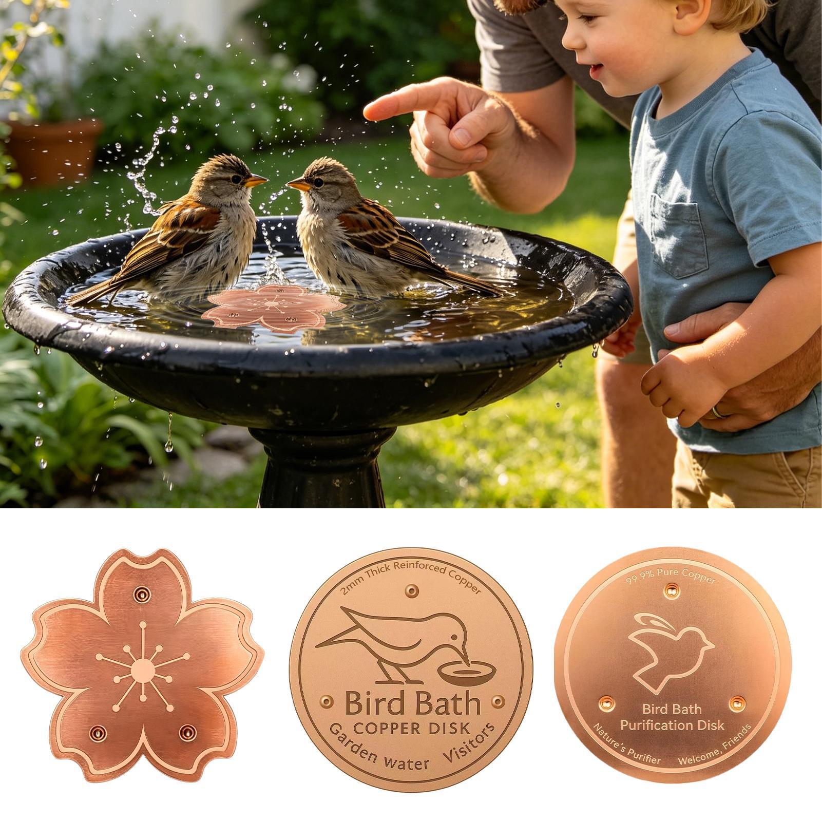 Plaque de purification en cuiv - Watches Original avis et prix